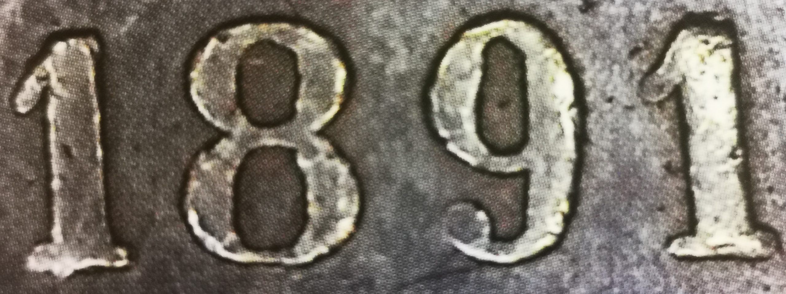 10-penniä 1891 variantti 1.2 arvopuoli