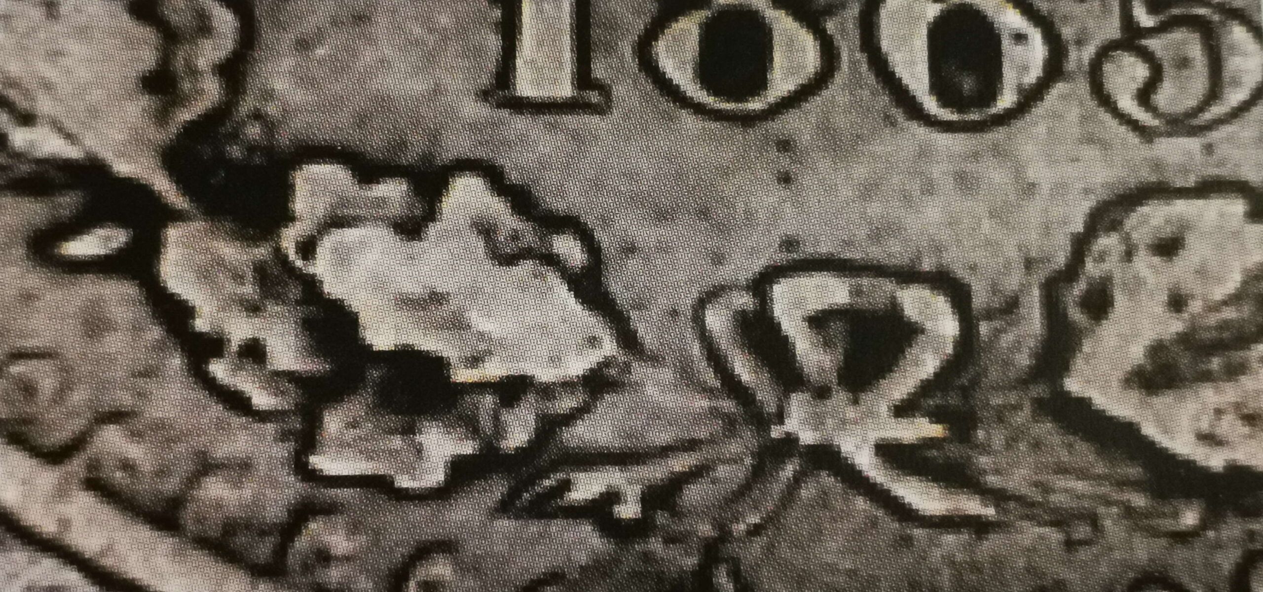 25 penniä 1865 variantti 2.4 rusettimalli 4